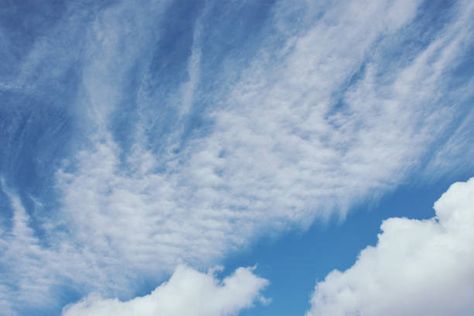 Cirrostratus Clouds On A Summer Sky On The Azores, Background Color Photo Cirrostratus Clouds, Cloud Types, Types Of Clouds, Geography Project, Cloud Type, Attractive Pictures, The Azores, Summer Sky, Color Photo