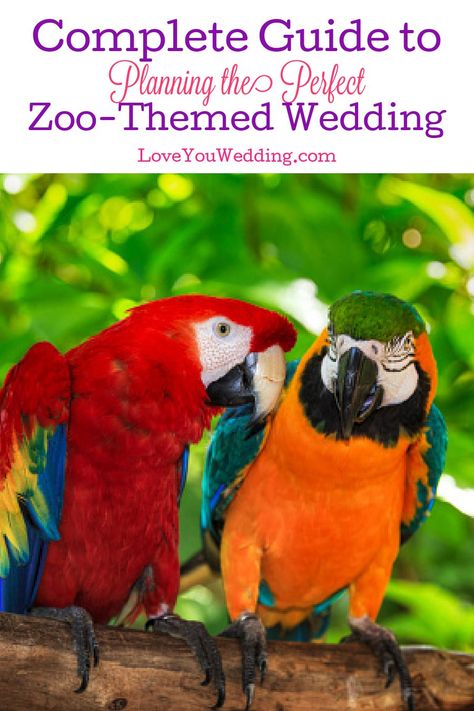 Zoo Themed Wedding Centerpieces, Zoo Theme Wedding, Animal Wedding Theme, Zoo Wedding Ideas, Lesbian Engagement Pictures, Lesbian Wedding Outfits, Themed Wedding Decorations, The Lion Sleeps Tonight, Zoo Wedding