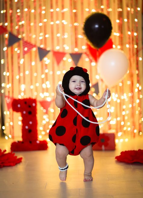 Ladybug 1st birthday. Allow your little one to be the focus of attention by dressing them in a Ladybug 1st birthday outfit. Set up a Ladybug themed photo opt, so that guests can have their photo taken with your little ONE. Ladybug Themed Birthday, Cupcake Mermaid, Ladybug Birthday Theme, 1st Birthday Themes Girl, Ladybug 1st Birthday, Princess Minnie Mouse, Birthday Elephant, Bunny Cupcake, Summer Themes