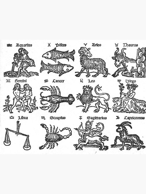 "Vintage Zodiac Signs" Photographic Print by phantastique | Redbubble Hellenistic Astrology, Astrological Art, Ancient Zodiac, Christmas Tarot, Pocket Altar, Constellation Quilt, Zodiac Clothes, Leo Symbol, Zodiac Meanings