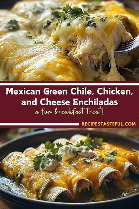 These flavorful enchiladas are stuffed with tender shredded chicken, then smothered in a zesty green chile sauce and melted cheese. Perfect for a cozy family dinner, they’re sure to satisfy your cravings for something hearty and delicious! Easy to make and packed with flavor, these enchiladas are a family favorite. Mexican Style Enchiladas, Green Chile Smothered Burritos, Hatch Green Chile Chicken Enchiladas, Turkey Enchiladas Green Sauce, Green Chicken Chili Enchiladas, Green Chicken Enchiladas Easy, Chili Verde Chicken, Enchilada Verde, Chicken And Cheese Enchiladas