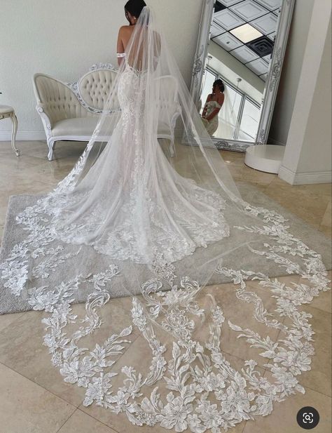 Long Veil Wedding, Dream Wedding Decorations, Long Train Wedding Dress, Designer Gown, Wedding Bridal Veils, Pretty Wedding Dresses, Wedding Veils Lace, Wedding Dress With Veil, Wedding Dress Train