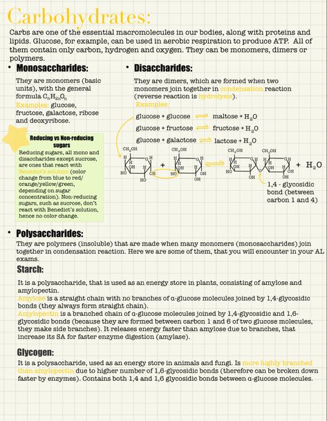 Carbohydrates Metabolism Notes, Biology Carbohydrates Notes, A Level Biology Notes Biological Molecules, Organic Molecules Biology, Magnification Biology Notes, Alevel Bio Notes, Carbohydrates Notes Biology, As Level Biology, Biological Molecules Notes