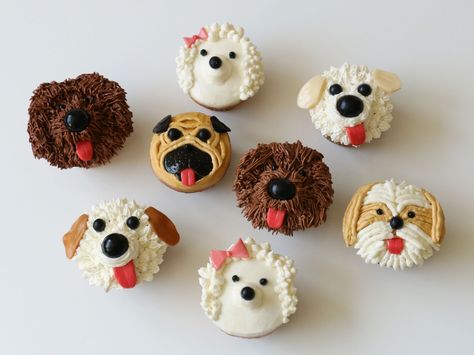 Go Mutts for Pupcakes! : These adorable doggie doppelgangers are created with just a few simple ingredients. All you need is a dozen of your favorite cupcakes, a batch of white buttercream, some easy-to-find candies and a few decorating tools. Follow these simple steps to create shaggy dogs, pugs, shih tzus and more. Puppy Dog Cupcakes, Puppy Cupcakes, Cupcake Piping, Cake Dog, Dog Cupcakes, Diy Cupcake, Animal Cupcakes, Children Activities, Diy Cupcakes