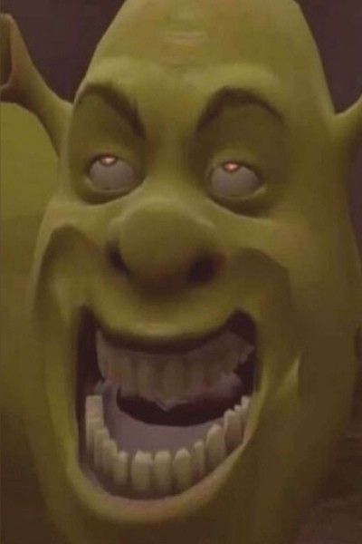 Shrek Funny, Shrek Memes, Snapchat Funny, 웃긴 사�진, Cartoon Memes, Very Funny Pictures, Funny Profile Pictures, Cute Memes, Funny Reaction Pictures