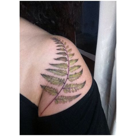 Fern Leaf Tattoo, Fern Tattoo, Leaf Tattoo, Botanical Tattoo, Fern Leaf, 1 Tattoo, Desenho Tattoo, Pattern Tattoo, Feminine Tattoos