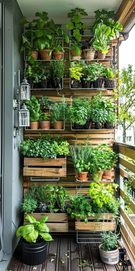 Apartment Vegetable Garden, Balcony Herb Gardens, Small Balcony Garden, Small Vegetable Gardens, Vegetable Garden Diy, Outdoor Balcony, Veg Garden, Home Vegetable Garden, Vegetable Garden Design