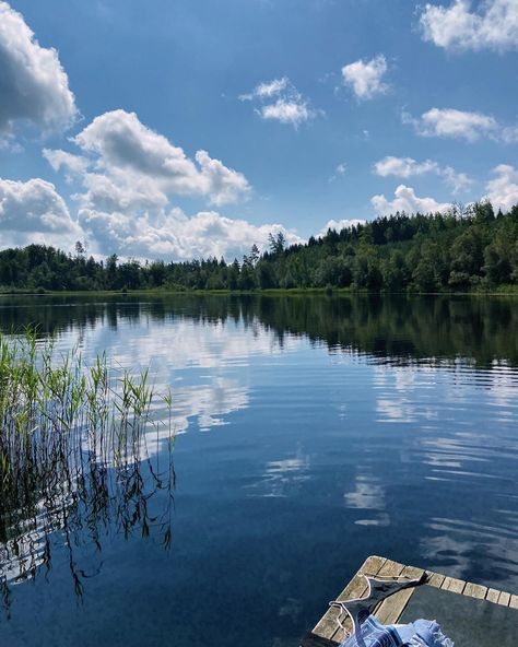 lake days 🌾 Land Scapes, Geeky Art, Lake Days, Lake Shore, Lake Beach, July 31, Incredible Places, Cottage, Lake