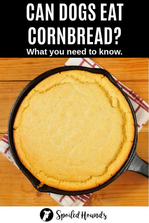 Can Dogs Eat Corn, Dressing Stuffing, Cornbread Stuffing, Grain Free Diet, Healthy Dog Treats Homemade, Food Resources, Cornbread Muffins, Cornbread Dressing, Human Food