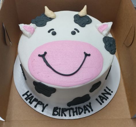 Cow Birthday Dessert, Simple Cow Cake, Cow Cake Birthday Boy, Cow Smash Cake, Birthday Cake For Boy, Birthday Cake Boy, Cow Birthday Cake, Cake For Boy, 1st Year Cake