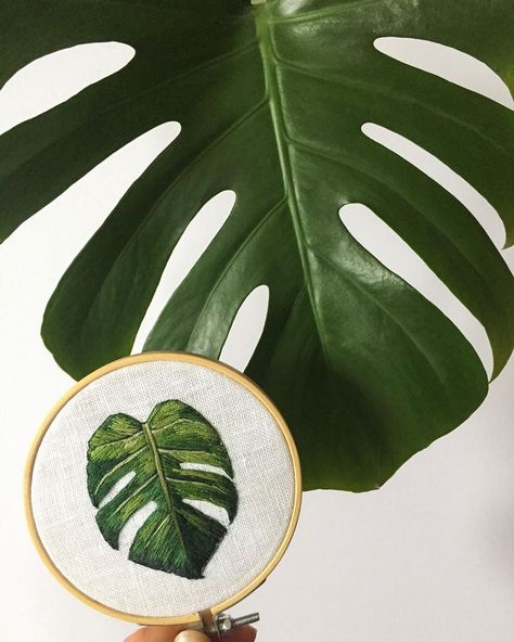 DMC on Instagram: “Big leaf, little leaf 🌿 via. @cait_handmade #dmcembroidery #dmcthreads #monsteraleaves” Embroidered Plants, Diy Embroidery Shirt, Embroidery Hoop Wall Art, Tiny Cross Stitch, Contemporary Embroidery, Hand Embroidery Projects, Embroidery Flowers Pattern, Sewing Embroidery Designs, Hand Embroidery Art