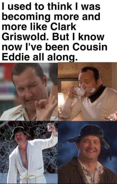 National Lampoons Christmas Vacation Movie, Vacation Meme, Christmas Vacation Quotes, Southern Men, Christmas Vacation Movie, Cousin Eddie, Clark Griswold, National Lampoons Christmas Vacation, National Lampoons