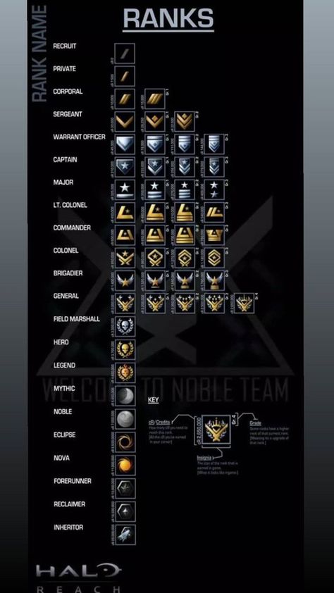 Tf141 Logo, Knight Ranks, Noble Ranks, Army Ranks, Military Logo, Military Ranks, Infinite Warfare, Halo Reach, Warrant Officer