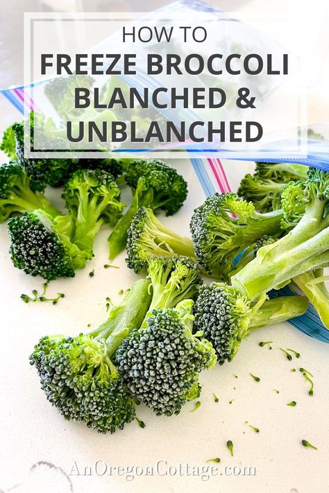 Learn how to freeze broccoli two ways: blanched for immediate use and unblanched for those who prefer a rawer, crunchier bite. Discover the differences, benefits, and the ultimate best way to freeze your broccoli to have on hand for your favorite recipes.