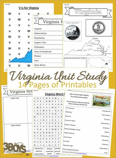 Virginia State Unit Study Virginia Studies, Educational Websites For Kids, Study Printables, Virginia History, Homeschool Geography, Virginia State, Homeschool History, Homeschool Lesson, History For Kids