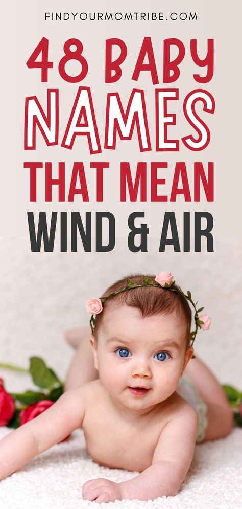 There are so many beautiful and unique names that mean wind. Find out what are the best wind-inspired names for your little one. #babygirlnames #babynames #babygirl #names #girlnames #babynamesuggestions #namesuggestions #namesforgirls #baby #babynameideas #babyname #babygirlnursery #uniquenames #unisexnames babyboynames #babynames #names #wind #air #findyourmomtribe Air Inspired Names, Names That Mean Wind, Air Names, Wind Names, Rare Names, Baby Name List, Name Suggestions, Aesthetic Names, Name Inspiration