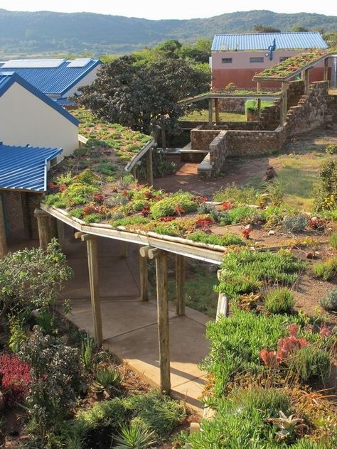 Green Roof Carport, Green Roof Cabin, Green Roof Planting, Eco Roof, Living Green Roof, Green Roof Garden, Green Roof Building, Grass Roof, Earthship Home