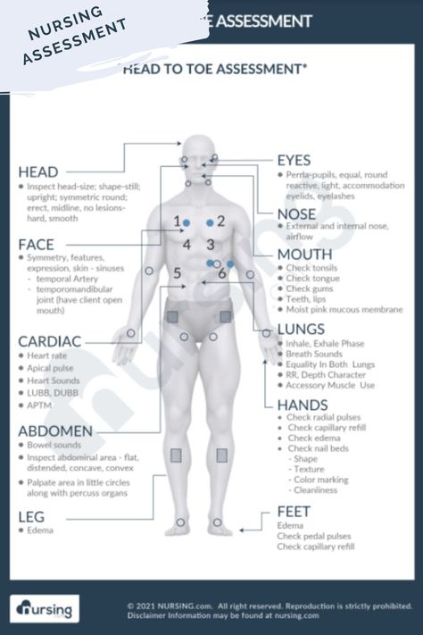 Health Assessment Nursing, Assessment Nursing, Geriatric Nursing, Nurse Skills, Medical Assistant Student, Nursing Assessment, Nursing School Essential, Nursing School Motivation, Nurse Study Notes