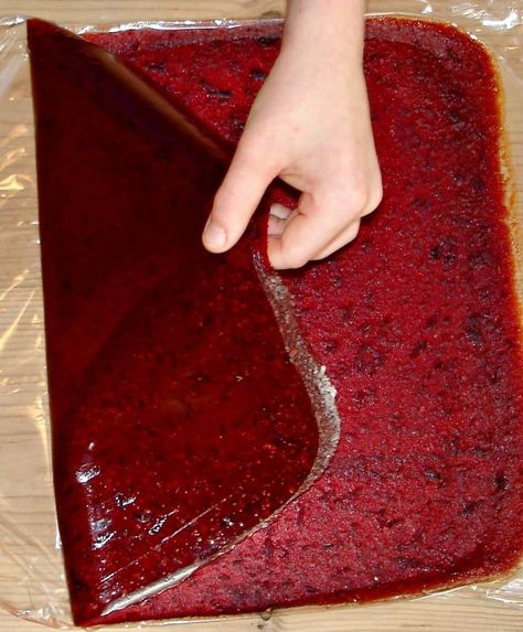 How to Make Easy and Delicious Fruit Leather • Craft Invaders Grab And Go Snacks, Homemade Fruit Leather, Savory Snack Recipes, Fruit Leather Recipe, Plum Recipes, Apple Leather, Plum Fruit, Fruit Roll, Fruit Leather