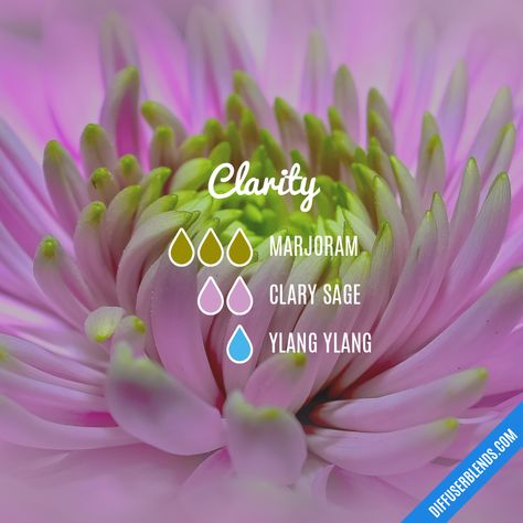 Clarity — Essential Oil Diffuser Blend Diy Perfumes, Clarity Essential Oil, Magick Oil, Perfume Blends, Mind Relaxing, Eo Blends, Fragrance Blends, Essential Oil Diffuser Blends Recipes, Essential Oil Remedy