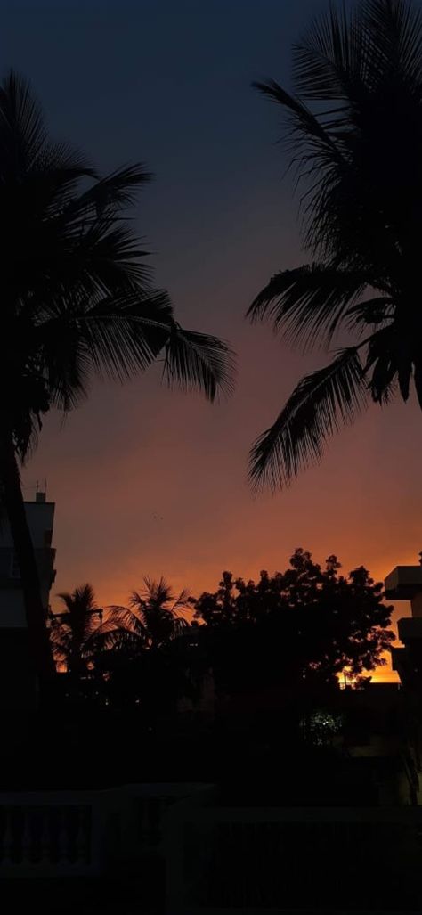 #sunset #orangesky #night #orange #brightsky #phi #browwneyedgirl #hyderabad #hyd #trees #dark #gradientsky #colours Hyderabad Sunset, Orange Sky, Hyderabad, Trees, Orange, Quick Saves