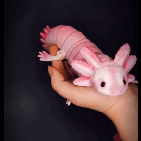 STL file Articulated axolotl・Design to download and 3D print・Cults 3d Printing Art, Great Friend, Doll Maker, Great Friends, Ready Made, New Model, 3d Print, Gifts For Family, To Sell