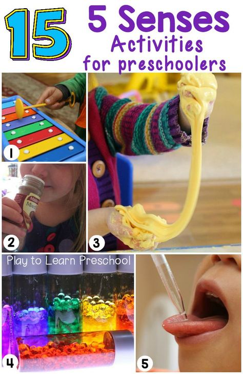 15 fantastic ideas that will help young children learn and explore through their senses. Sense Of Sight Activities Preschool, Sensory Area, 5 Senses Preschool, January Preschool, Five Senses Preschool, 5 Senses Activities, Senses Preschool, My Five Senses, Sensory Learning