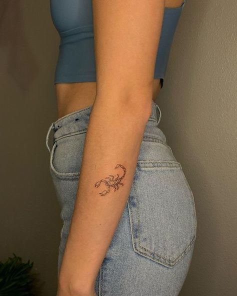 Tattoo Minimal For Woman, Cool And Unique Tattoos, Tattoos 2022 Women, Woman Scorpion Tattoo, Mini Scorpio Tattoo, Dainty Scorpion Tattoo, Womens Unique Tattoos, Scorpion Tattoo Feminine Arm, Small Tattoos Woman