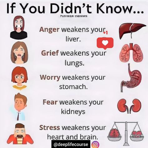 The connection between negative emotions and their impact on various organs according to Traditional Chinese Medicine (TCM). TCM is a holistic system of medicine that has been practiced for thousands of years in China. It emphasizes the importance of maintaining a balance between the mind, body, and spirit. * If You Didn't Know... * @herbsovermeds * Anger weakens your liver. * Grief weakens your lungs. * Worry weakens your stomach. * Fear weakens your kidneys. * Stress weakens your he... Chinese Medicine Emotions, Traditional Chinese Medicine Acupuncture, Tcm Traditional Chinese Medicine, Deeper Life, Holistic Remedies, Medical Terms, Mind Body And Spirit, Traditional Chinese Medicine, Negative Emotions