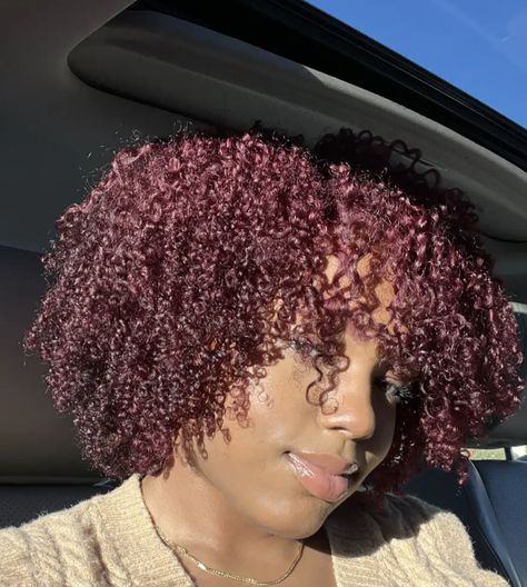 Auburn Curly Hair Black Women, Red Highlights On Dark Hair, Highlights On Dark Hair, Short Natural Curls, Dark Burgundy Hair, Quick Styles, Blk Women, Auburn Highlights, Curly Color