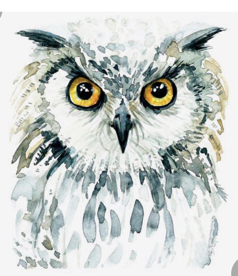 Loose Watercolor Paintings, Watercolor Paintings Of Animals, Owl Watercolor, Bird Watercolor Paintings, Watercolor Beginner, Owls Drawing, Wood Painting Art, Diy Watercolor Painting, Art Drawings Sketches Pencil