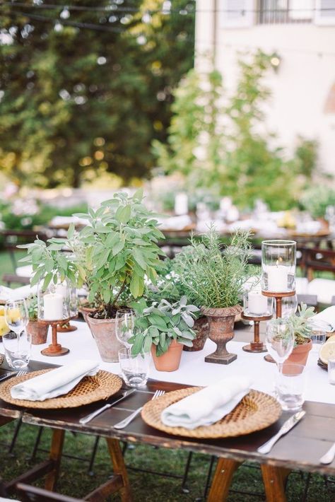 Backyard December Wedding, Centerpieces Aesthetic, Herb Wedding Centerpieces, Wedding Herbs, Herbs Wedding, Herb Centerpieces, Herb Wedding, Plant Centerpieces, Aesthetic Place