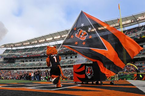 Bengals Aesthetic, Manchester United Stadium, Football America, Bengals Football, Football Pitch, Lions Football, St Louis Rams, Nfl Packers, Ohio State Football