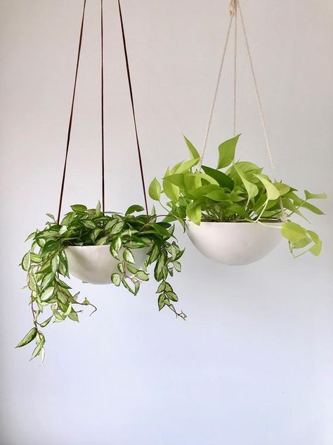 Large Hanging Planter Ceramic Porcelain Basket with Jute or | Etsy Purple Heart Plant, Large Hanging Planters, Planters Indoor, Neon Pothos, White Ceramic Planter, Pottery Projects, Diy Decoracion, Hanging Planters Indoor, Planter Ceramic