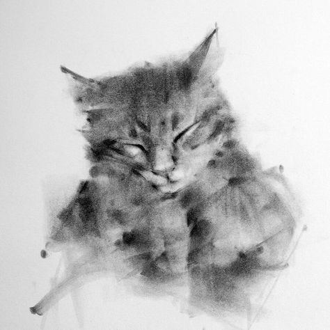 Animal Charcoal Drawing. Cat Drawing Charcoal, Charcoal Art Animals, Carbon Drawings, Charcoal Animal Drawings, Charcoal Animals, Design With Charcoal, Cat Portrait Drawing, Charcoal Illustration, Charcoal Drawing Ideas