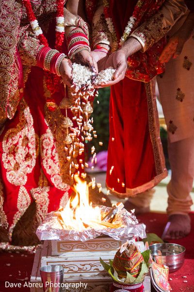 Sorry Brother, Indian Wedding Aesthetic, Indian Wedding Pictures, Bride Groom Poses, Indian Bride Photography Poses, Two Love Birds, Indian Wedding Poses, Bride Photos Poses, I Love You Too