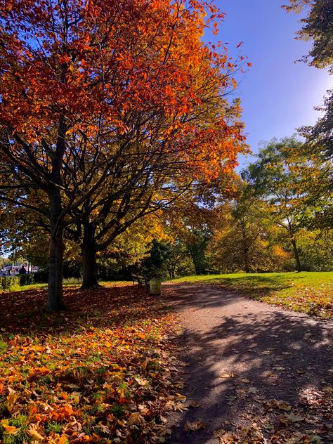 Autumn In Copenhagen, Denmark Autumn, Copenhagen Autumn, Denmark Aesthetic, Copenhagen Aesthetic, Spooky Halloween Pictures, Autumn Travel, 2024 Moodboard, Visit Denmark