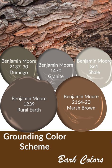 BarkColors Brown Green House Exterior, Nature Is Healing, 2023 Home Interior, House Inspection, Mountain Ideas, Nature Paint, Country Squire, Forest Home, Paint Palettes