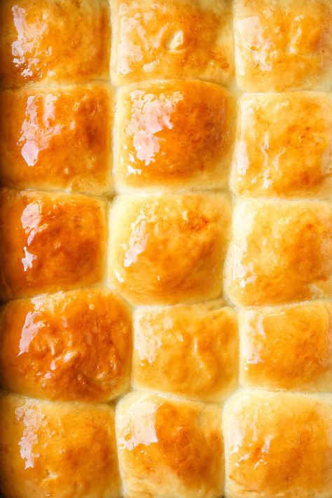 Make Ahead Yeast Rolls Make Ahead Yeast Rolls, Make Ahead Dinner Rolls, Overnight Dinner Rolls, Rolls Thanksgiving, Vegan Dinner Rolls, Dinner Roll Recipe, Homemade Yeast Rolls, Yeast Rolls Recipe, No Yeast Dinner Rolls