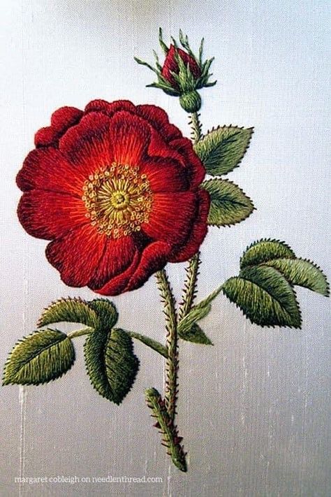 Trish Burr, Crewel Embroidery Kits, Embroidery Hand, Thread Painting, Japanese Embroidery, Silk Ribbon Embroidery, 자수 디자인, Crewel Embroidery, Hand Embroidery Stitches