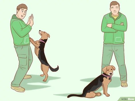 How To Train A Dog Not To Jump, How To Get Your Dog To Stop Jumping, Training Dog Not To Jump, How To Stop Your Dog From Jumping, Dog Jumping On People, How To Stop Dog From Jumping On People, Stop Dog From Jumping On People, Teach Dog Not To Jump On People, Dog Jumping Fence