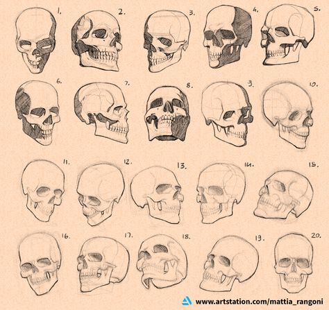 Drawing The Skull, 100 Figure Drawing Challenge, Skeleton Expressions, Skull Art Reference, Skull Expressions, Skull Anatomy Drawing Study, Skull Perspective, Skull Drawing Reference, Angle Reference