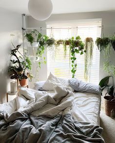 Tension Rod Curtains, Renter Friendly Decorating, Ikea Australia, Free Standing Closet, Hanging Planters Indoor, Hanging Plants Indoor, Tension Rod, Apartment Life, Apartment Style