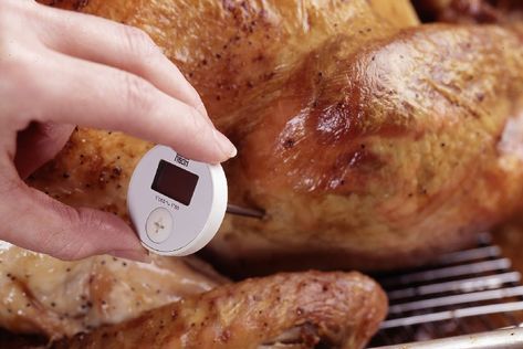 How to Check the Internal Temperature on a Turkey Temperature To Cook Turkey, Turkey Temp, Turkey Temperature, Turkey Thigh, Cooked Chicken Temperature, Turkey In Oven, Turkey Cooking Times, Roast Turkey Recipes, Best Thanksgiving Recipes