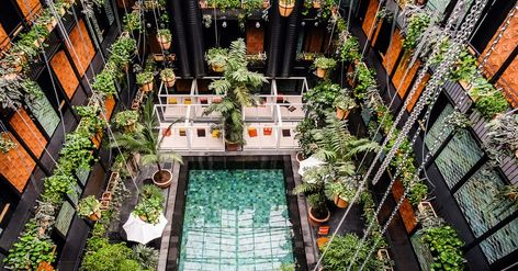 Copenhagen hotels | the best new hotels in Denmark's capital | CN Traveller Manon Les Suites, Seville Hotel, Arizona Resorts, Pool Inspiration, Amazing Swimming Pools, Balcony Pool, Courtyard Pool, Denmark Copenhagen, Dreamy Places