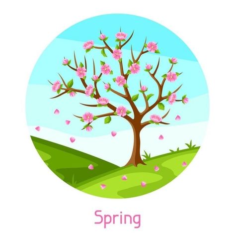 Spring Season Images, Trees In Different Seasons, Spring Season Drawing, Seasons Illustration, Spring Blooming Trees, Crown Clip Art, Seasons Posters, Sakura Flowers, Spring Images