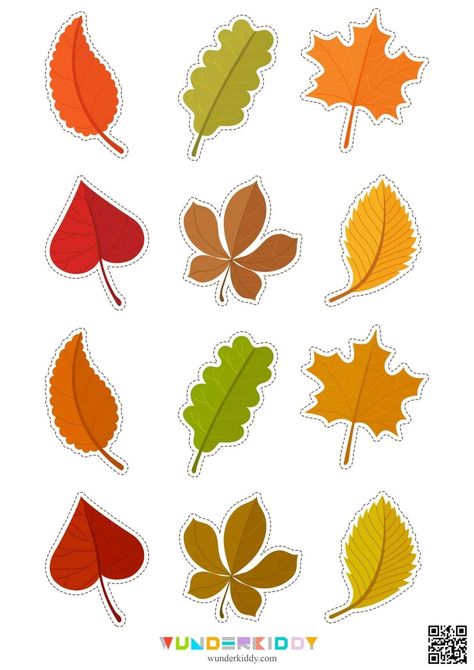 Leaf Template Printable, Early Preschool, Fall Leaf Template, Leaf Cutout, Easy Paper Flowers, Autumn Activities For Kids, Paper Flower Crafts, Preschool Age, Leaf Template