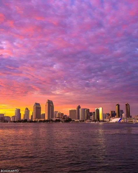 San Diego, California ! | City views 💜

San Diego city | Facebook San Diego California Aesthetic, San Diego Aesthetic, San Diego City, California City, City Views, San Diego California, City View, Cali, Alaska