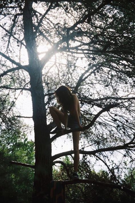 Into The Wild, Foto Art, Story Inspiration, Nature Girl, Maze Runner, A Tree, Dream Life, Summer Vibes, Still Life