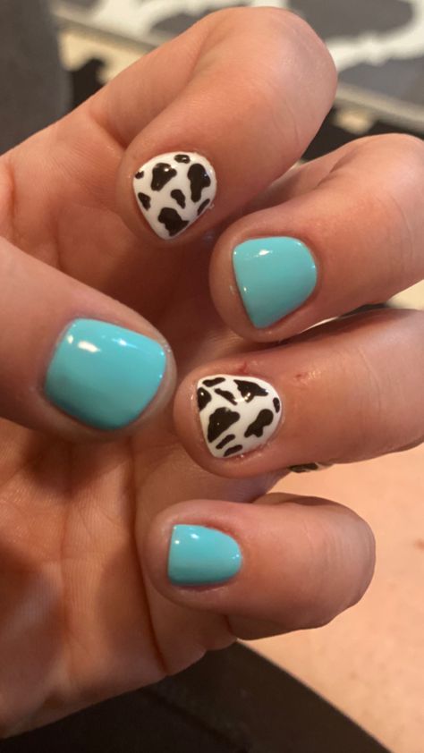 Teal woth cow print for our western trip. Western Nail Ideas Cow Print, Teal And Cow Print Nails, Nails With Cactus Design, Turquoise Nails With Cow Print, Simple Western Nails Turquoise, White And Turquoise Nails Western, Turquoise Nails Western Cow Print, Turqoise Nails Western, Cowboy Nails